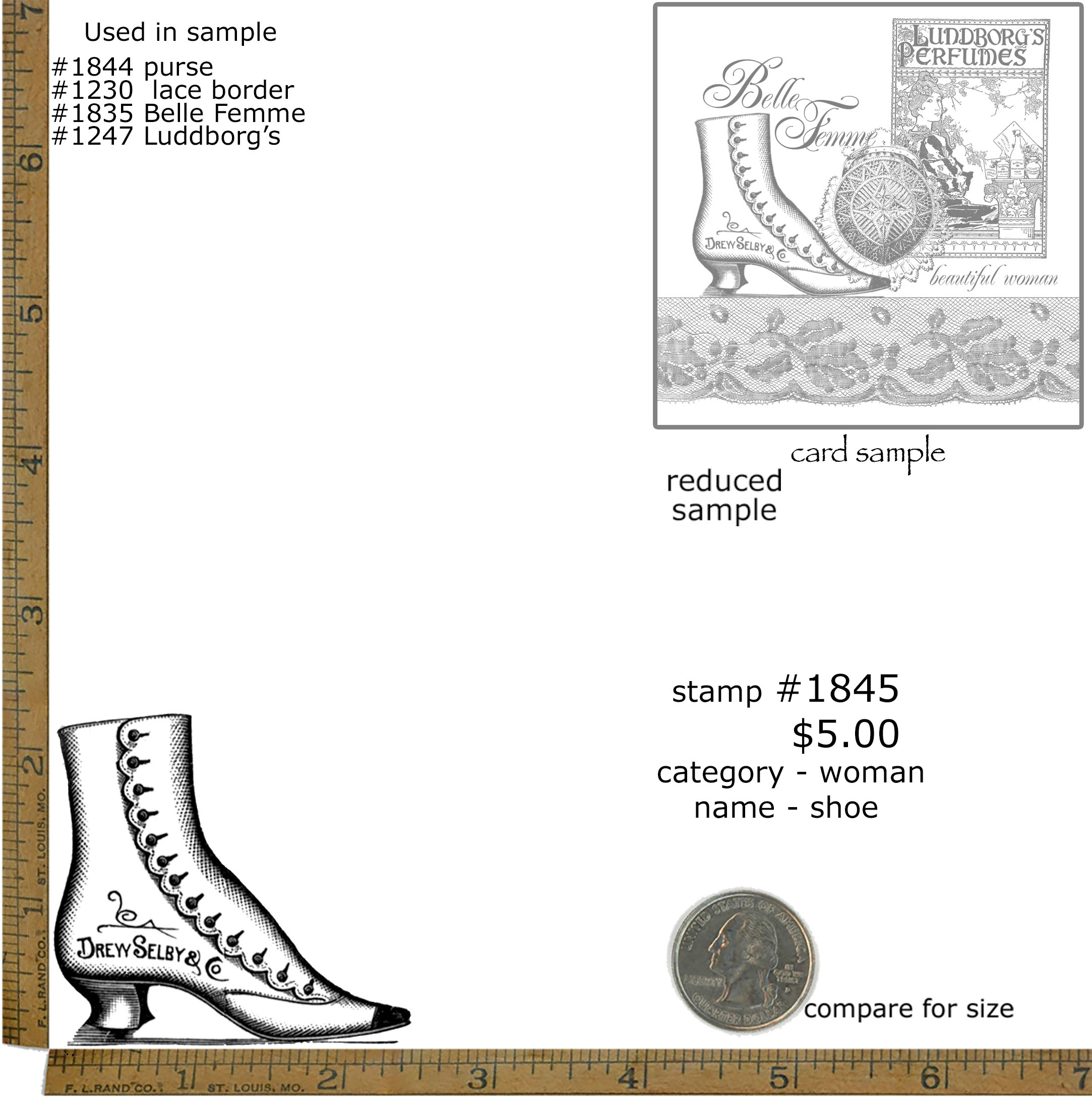 #1845 - Shoe - Woman